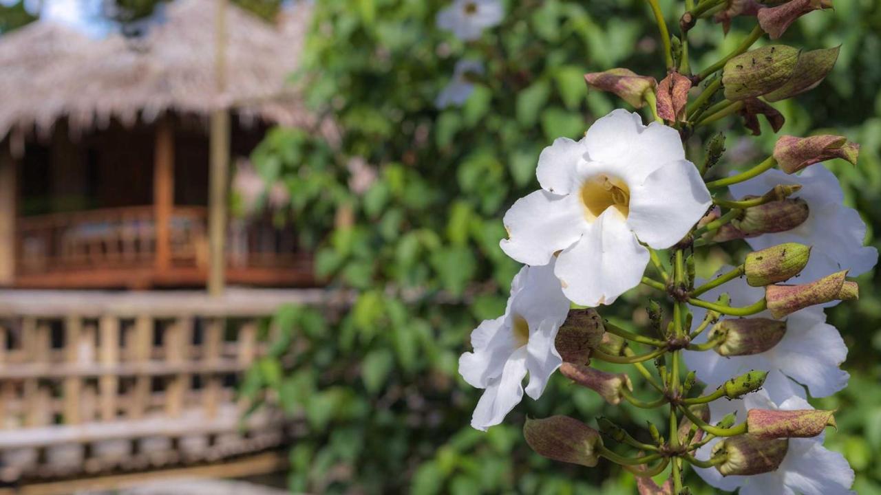 Onong'S Homestay & Cafe Tomohon Exteriér fotografie